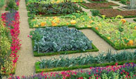 Feature Image 4